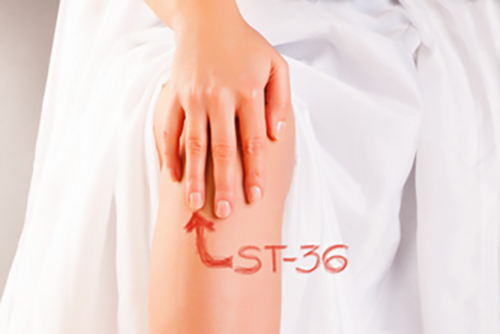 נקודת דיקור ST36